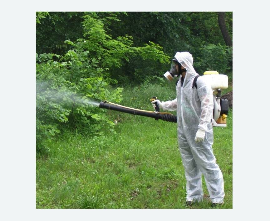 обработка территории от клещей в Форносово