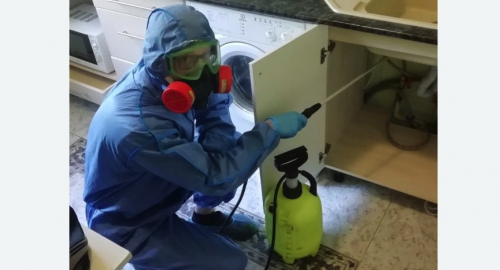 Уничтожение муравьев в квартире. Форносово