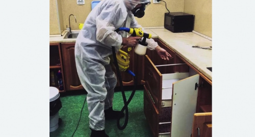 Уничтожение насекомых в квартире. Форносово