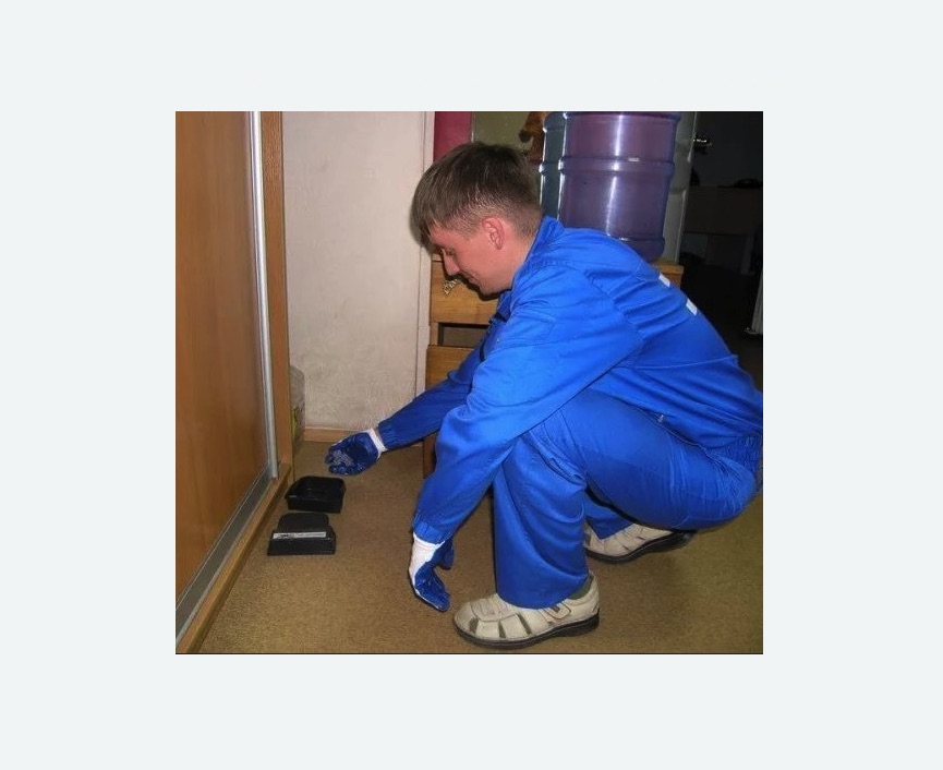 Дератизация крыс Дератизация крыс в Форносово