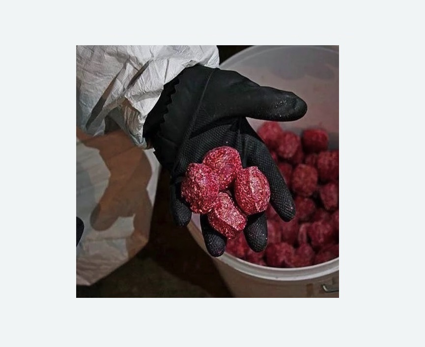 Обработка от крыс Обработка от крыс в Форносово