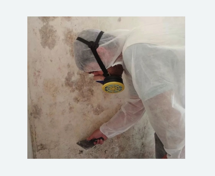 Обработка стен от плесени в Форносово