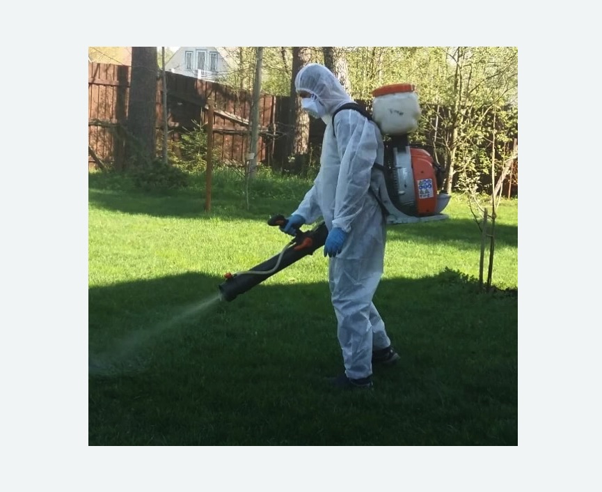 Обработка участка от клещей в Форносово Обработка участка от клещей