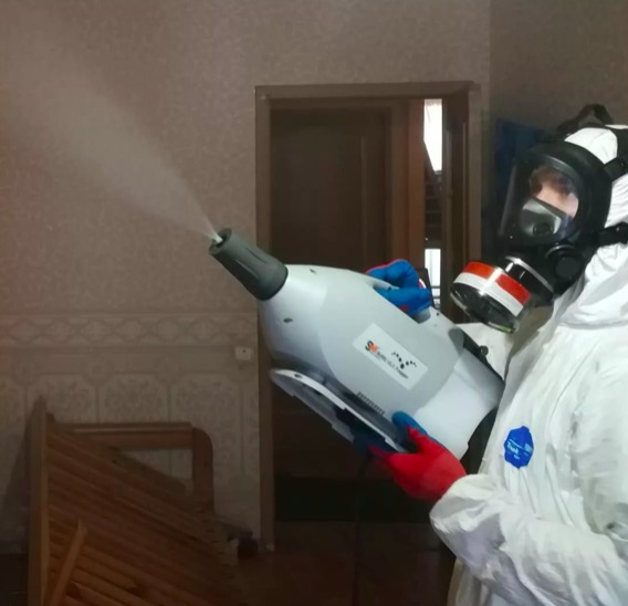 дезинсекция помещения в Форносово