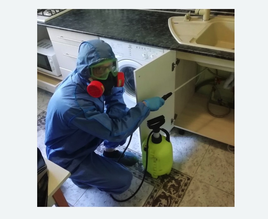 обработка от муравьев в квартире в Форносово