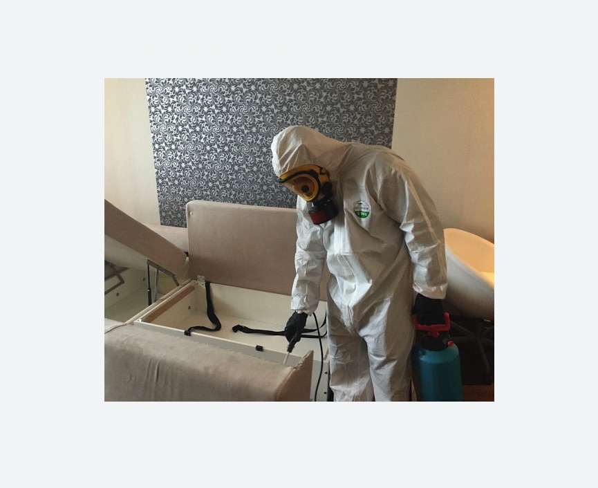 уничтожение клопов в квартире в Форносово