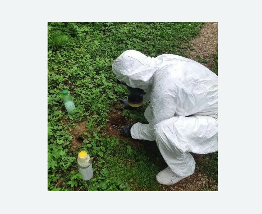 уничтожение кротов на участке в Форносово