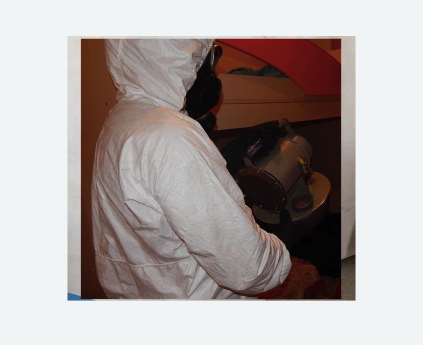 Дезинфекция от муравьев в Форносово