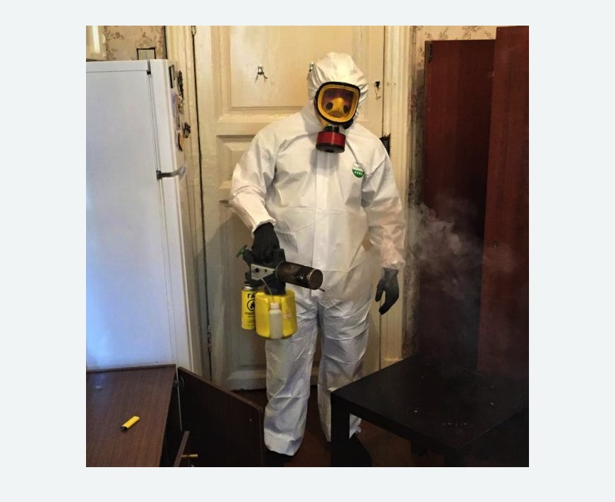 уничтожение муравьев в квартире в Форносово